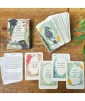Bridget Farmer | Card Game | I am a Magpie I am a Currawong